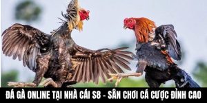 Đá gà online S8