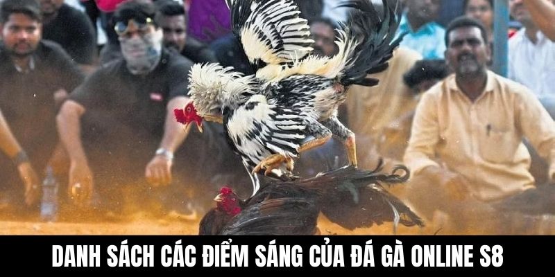 Danh sách các điểm sáng của đá gà online S8