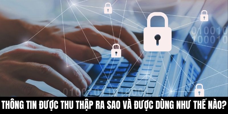 Thông tin được thu thập ra sao và được dùng như thế nào?